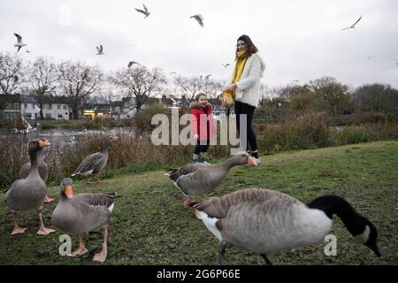 Un petit garçon nourrissant des oies et des canards avec sa mère dans un étang de Londres Banque D'Images