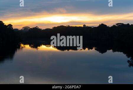 Lever de soleil sur la forêt amazonienne, lagune de Garzacocha, parc national de Yasuni, Équateur. Banque D'Images