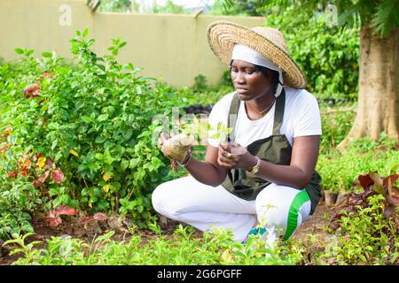 Jardinier, fleuriste ou horticulteur africain vêtu d'un tablier et d'un chapeau, travaillant dans un jardin de fleurs et de plantes vert et coloré Banque D'Images