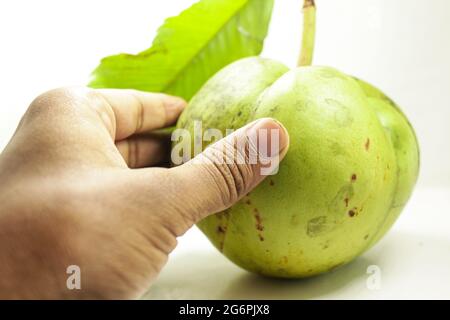 Une main touchant un fruit dillenia indica sur fond blanc isolé Banque D'Images