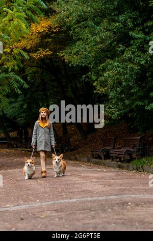 Lviv, Ukraine 21 octobre 2020: Promenade avec les chiens de corgi dans le parc, promenade d'automne avec un animal de compagnie. Nouveau Banque D'Images