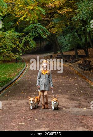 Lviv, Ukraine 21 octobre 2020: Promenade avec les chiens de corgi dans le parc, promenade d'automne avec un animal de compagnie. Nouveau Banque D'Images