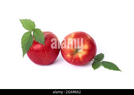 Deux pommes rouges sur fond blanc. Pommes juteuses de couleur rouge avec des taches jaunes et des feuilles vertes. Les fruits sont mûrs et juteux sur fond blanc. Banque D'Images