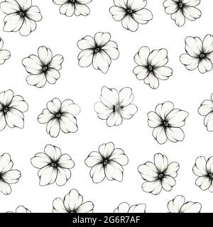 Motif fleuri simple sur fond blanc, sans couture botanique avec fleurs mignonnes dessinées à la main, dessin graphique pour mariage Banque D'Images