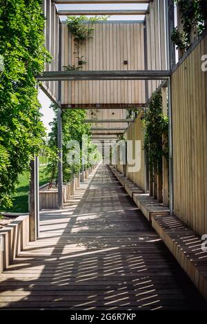 Parc municipal Krasnodar ou Galitsky Park. Paysage avec herbe verte, terrasses décoratives d'arbres et pergolas pour se détendre à l'ombre Banque D'Images