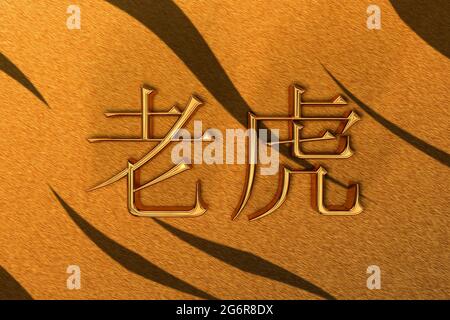 Hiéroglyphes chinois en 3D en or, traduit par Old Tiger, sur fond de peau de tigre Banque D'Images