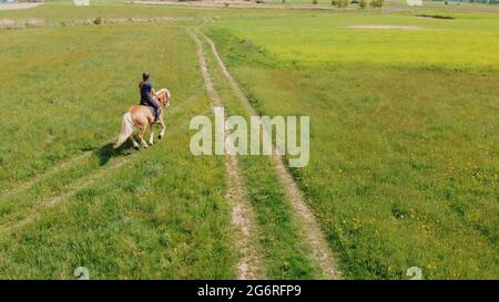 Horsewoman sur un cheval Palomino se déplaçant à travers le beau champ de ferme pendant la journée. Vue aérienne des magnifiques prairies. Cavalier dans le champ. Banque D'Images