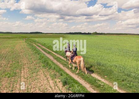 Deux cavaliers sur un cheval Palomino et un cheval Dark Bay se déplaçant à travers le beau champ de ferme pendant la journée. Vue aérienne des magnifiques prairies. Cavaliers dans le champ. Ciel nuageux. Banque D'Images