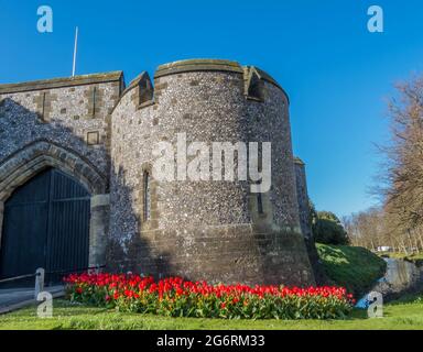 Magnifiques tulipes rouges lumineuses à l'extérieur du château d'Arundel Banque D'Images