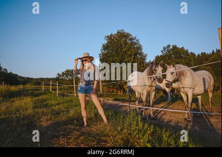 Belle jeune femme blonde habillée style safari en chapeau et chemise à carreaux posant avec des chevaux de pur-sang sur la ferme dans le champ de coucher de soleil à l'extérieur à la campagne. Chevaux derrière une clôture électrique sous tension Banque D'Images