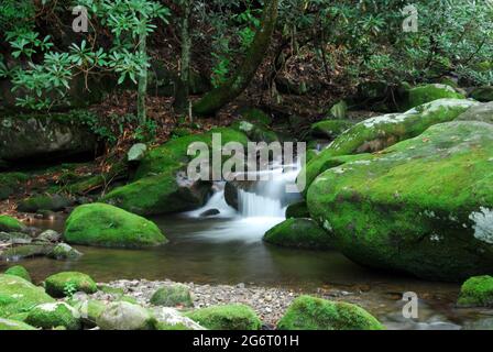 Ruisseau montagnard à rayures de Boulder, parc national de Smokey Mountain, Gatlinburg, Banque D'Images