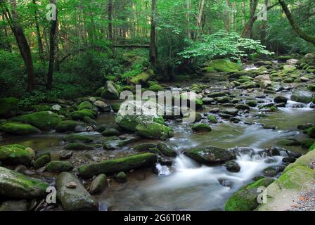 Ruisseau de montagne parsemé de Boulder, parc national de Smokey Mountain, Gatlinburg, Tennessee Banque D'Images