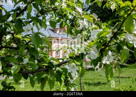 Tours et dôme de temples et églises avec murs blancs À Kolomna à la place de la cathédrale dans la région de Moscou et Feuilles rouges de pomme décorative Banque D'Images