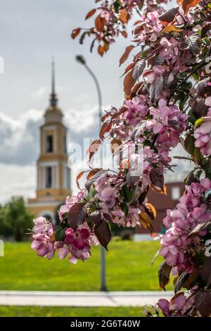 Tours et dôme de temples et églises avec murs blancs À Kolomna à la place de la cathédrale dans la région de Moscou et Feuilles rouges de pomme décorative Banque D'Images