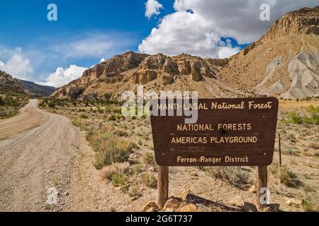 Forêt nationale de Manti–la Sal, panneau à Ferron Canyon, Biddlecome Ridge, route 22, Wasatch Range, près de la ville de Ferron, Utah, États-Unis Banque D'Images