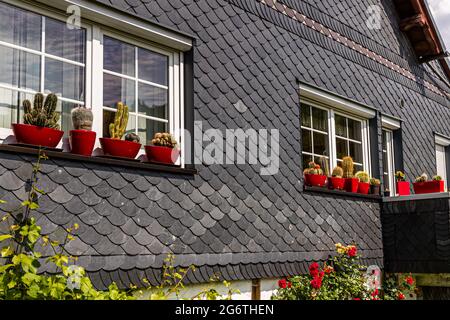 Cactus dans des pots de fleurs rouges sur le rebord de la fenêtre d'une maison d'ardoise à Steinach, Allemagne Banque D'Images