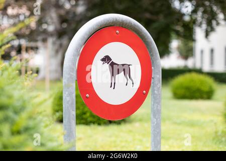 Pas de signe chien à chur, suisse Banque D'Images