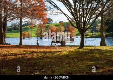 Tauranga Nouvelle-Zélande - Mai 10 2015: Femme et trois enfants assis et jouant au bord du lac pittoresque sous les arbres en automne entouré par le le coloré Banque D'Images