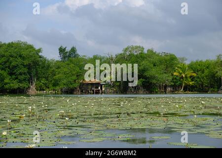 Guatemala Livingston - Rio Dulce - Lago de Izabal Banque D'Images