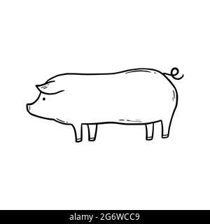 Porc de ferme tiré à la main. Style d'esquisse Doodle. Icône de cochon simple de ligne de dessin. Illustration vectorielle isolée. Illustration de Vecteur