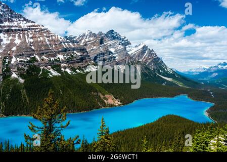 Le lac Peyto est un lac de champ de glacier alimenté par de la glace en fusion Banque D'Images