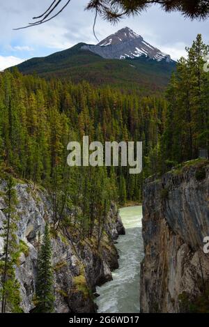 Canyon et montagnes près des chutes de sunwapta Banque D'Images