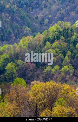 Prenez la Foothills Parkway Banque D'Images