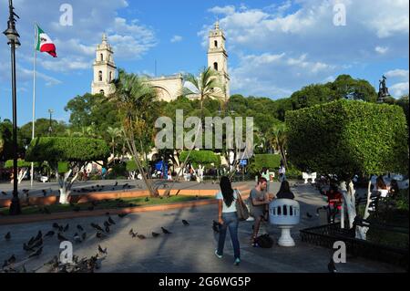 MEXIQUE. ÉTAT DU YUCATAN. MERIDA. CONSTRUITE EN 1556, LA CATHÉDRALE DE SAN ILDEFONSO EST LA PLUS ANCIENNE DU CONTINENT AMÉRICAIN. Banque D'Images