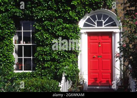 IRLANDE. DUBLIN. PORTES TRADITIONNELLES GÉORGIENNES PRÈS DE LA PLACE MERRION. Banque D'Images