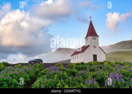 Vik i Myrdal Église parmi les fleurs lupin en pleine floraison au printemps, belle matinée brumeuse et ciel bleu, atmosphère fraîche et relaxante à Vik. Islande Banque D'Images