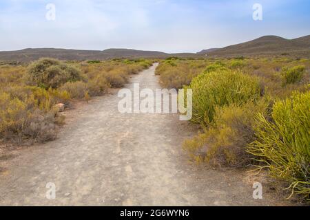 Route menant à la chute d'eau de Nieuwoudtville dans le Cap Nord de l'Afrique du Sud Banque D'Images