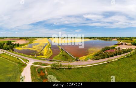 réserve de buffalo aera en Hongrie. Près du lac de Nagyszeksos près de la ville de Morhalom. Le buffle hongrois c'était un animal important pour l'agriculture long t Banque D'Images