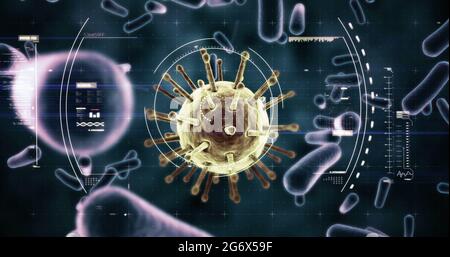 Image de la propagation des cellules du coronavirus du macro Covid-19 Banque D'Images