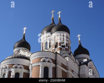 Cathédrale Alexander Nevsky, Tallinn. Gros plan du toit bombé noir contre le ciel bleu vif Banque D'Images