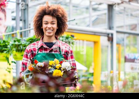 Vue latérale d'un fleuriste dédié tenant un plateau avec des fleurs décoratives en pot tout en travaillant dans un fleuriste moderne avec différentes plantes à vendre Banque D'Images