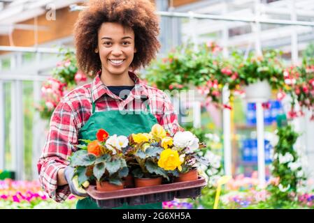 Vue latérale d'un fleuriste dédié tenant un plateau avec des fleurs décoratives en pot tout en travaillant dans un fleuriste moderne avec différentes plantes à vendre Banque D'Images