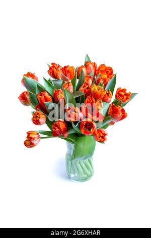 Bouquet de tulipes rouge-jaune sur fond blanc. Gros plan. Banque D'Images