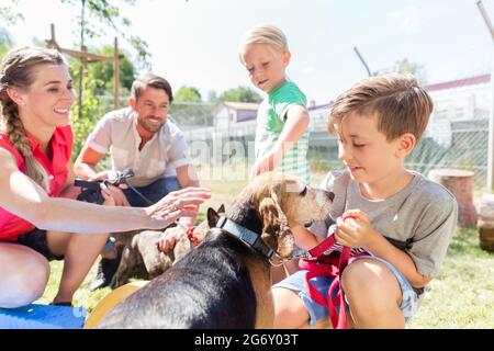 Famille d'accueil en prenant un chien de la refuge d'animaux donnant un nouvel accueil l'adoption de l'animal Banque D'Images