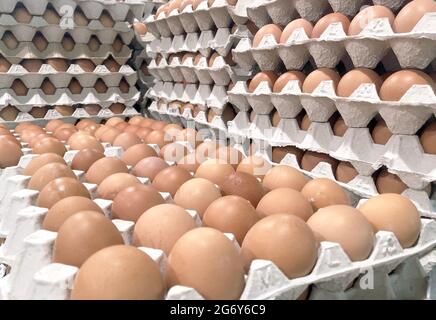 rouleau d'œufs de poulet brun sur un panier en papier dans un magasin agricole Banque D'Images