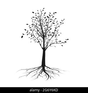 Silhouette d'arbre noir avec feuilles et racine. Écologie et nature. Illustration vectorielle isolée sur fond blanc Illustration de Vecteur