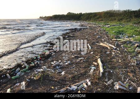 Côte polluée du Rio de la Plata, Buenos Aires, Argentine Banque D'Images