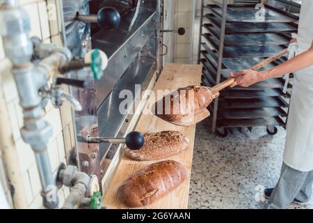 Femme de mettre du pain Boulangerie pâtisserie à bord avec pelle Banque D'Images
