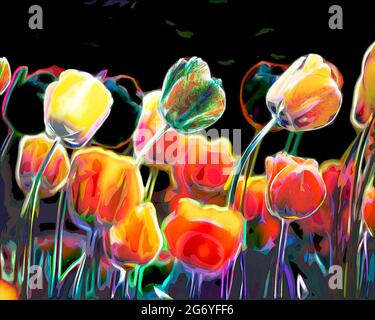 Tulipes de couleur soufflées par le vent, printemps, arty, Banque D'Images