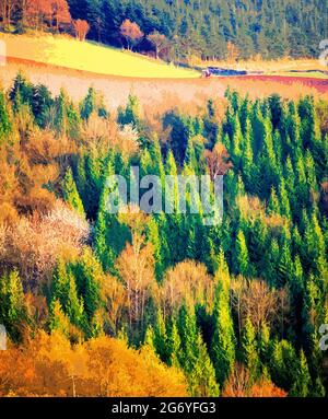 Agriculture à flanc de coteau, avec forêt, printemps, arty, Banque D'Images