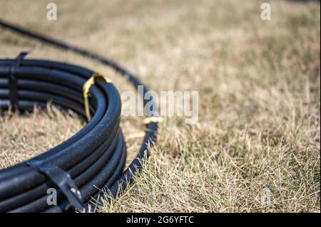 Bobine de tuyau d'irrigation de 1 pouce prête pour une nouvelle installation sur le dessus de l'herbe sèche brune et endommagée. Banque D'Images