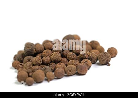 Piment, Pimenta dioica, sur fond blanc Banque D'Images