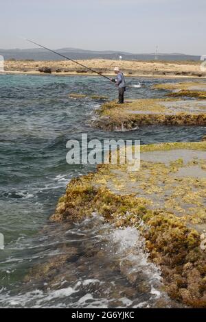 Pêcheur vieillissant pêchant avec des cannes à pêche debout sur des rochers de grès couverts de mauvaises herbes marines à marée basse sur la côte du Carmel, en mer Méditerranée. Banque D'Images