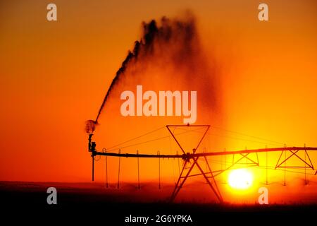 Réglage du soleil sur le système d'arrosage à pivot de l'arroseur de ferme Banque D'Images