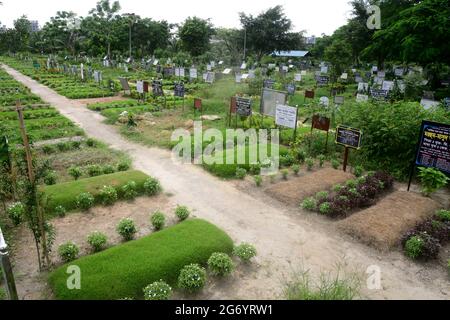 Dhaka, Bangladesh. 09e juillet 2021. Une vue générale du cimetière de Rayer Bazar pour les victimes de la cavid-19 à Dhaka, au Bangladesh, le 9 juillet 2021 crédit: Mamunur Rashid/Alamy Live News Banque D'Images