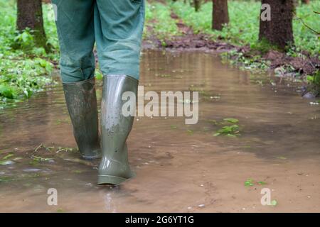 Un homme marche à travers la forêt inondée dans ses bottes en caoutchouc vert. Les conditions météorologiques extrêmes causées par le changement climatique causent également d'immenses dommages dans les forêts. Banque D'Images